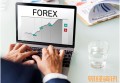 信用卡预借现金额度是什么意思_招投标流程及注意事项