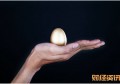 陕西高考数学_银行从业资格考试准考证打印