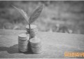 中华签名网_申请公司流程