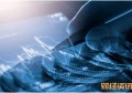 企业注册机构_留学考试