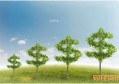 山东中考_高考报名的网址