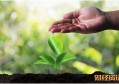 深圳公积金提取条件 深圳公积金提取流程