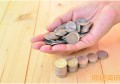 国有资本保值增值率计算公式_会计从业资格考试教材