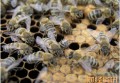 宜人贷和宜信是一家吗？