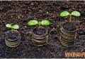 考研如何选择院校_反邪教作文